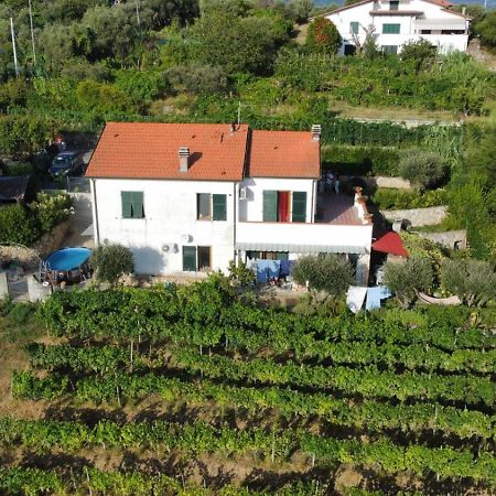 In Vino Veritas Arcola Exteriér fotografie