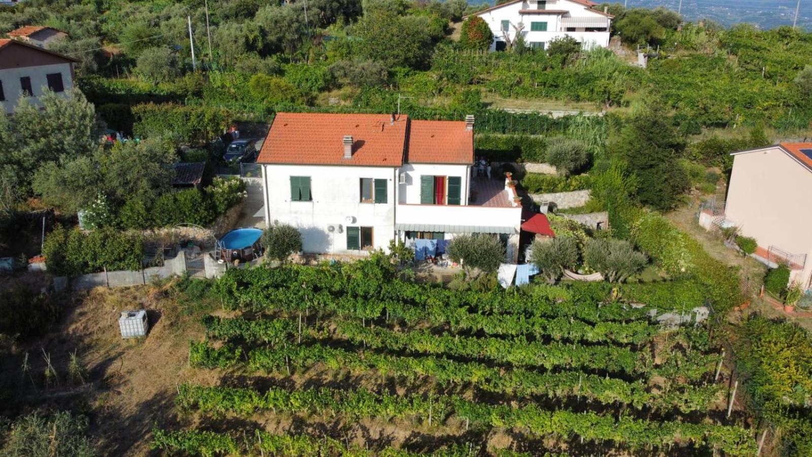 In Vino Veritas Arcola Exteriér fotografie